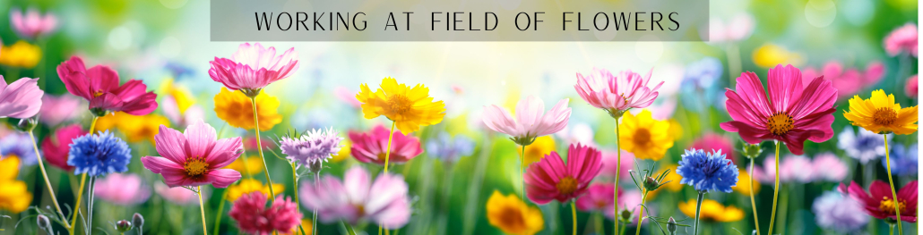 field of flowers
